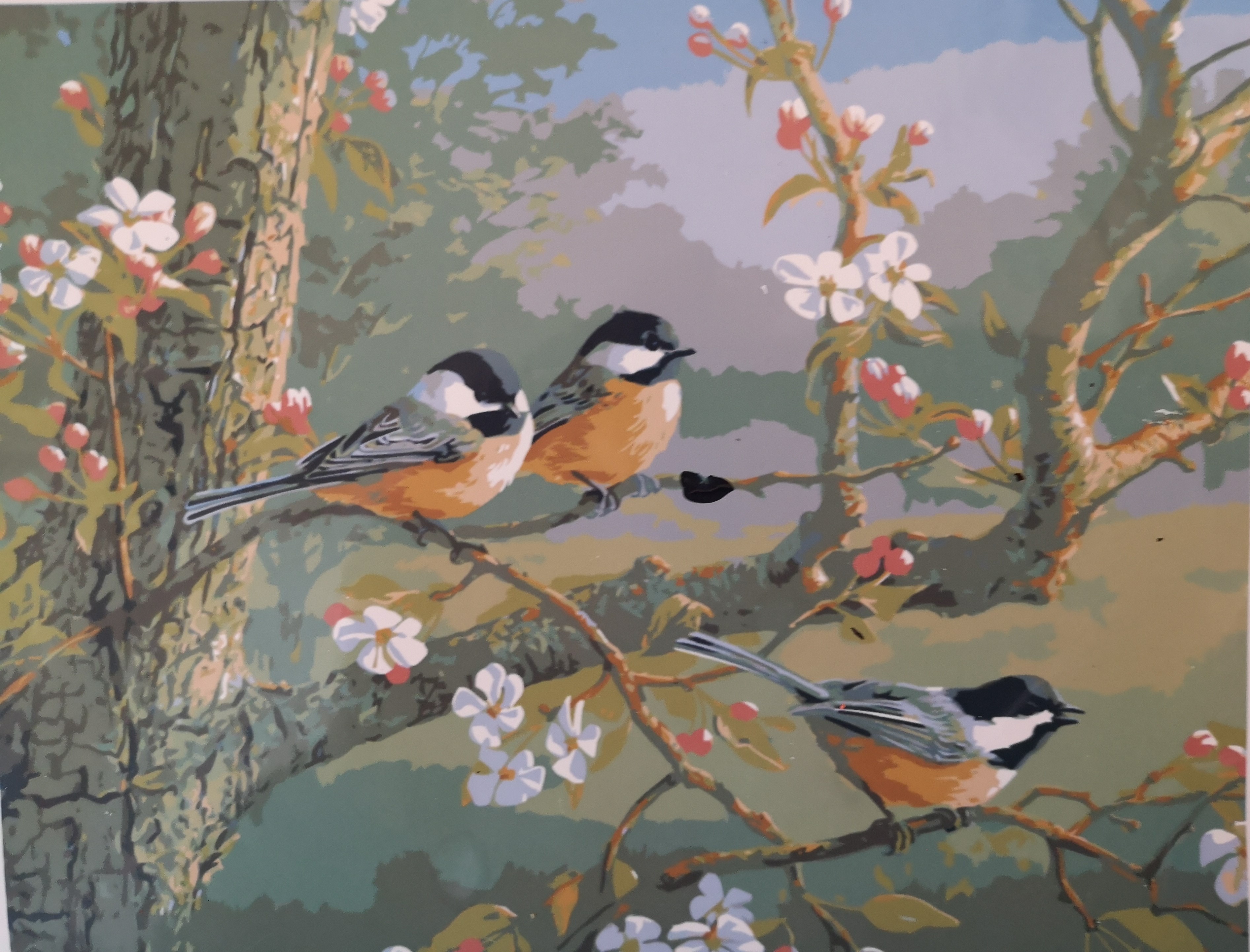 Bullfinches by Peter Grant